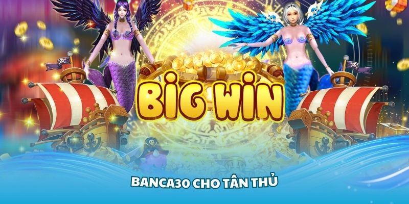 banca30 cho tân thủ