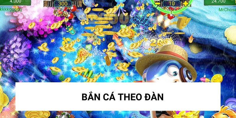 Tập trung hạ gục cá theo đàn