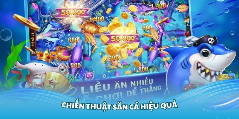 Nắm vững các chiến thuật săn cá hiệu quả nhất cho tân thủ