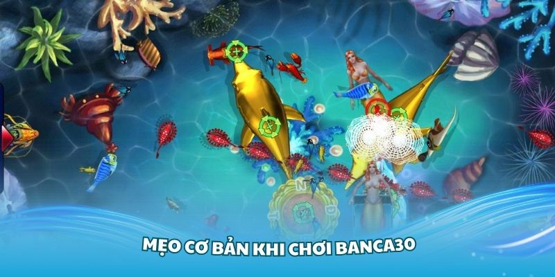 Những mẹo cơ bản khi chơi Banca30 cho tân thủ