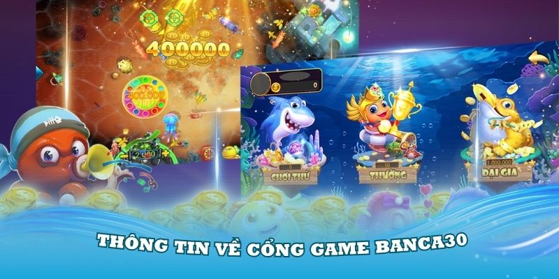 Điểm qua các thông tin về cổng game Banca30 cho tân thủ